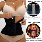 Women's Medium Control Shapewear – Tummy Slimming Postpartum Belly Band Corset